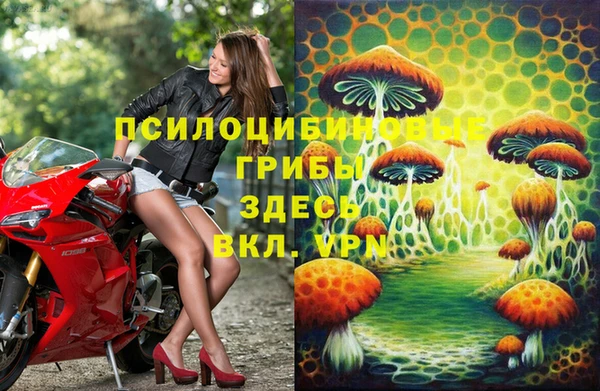 МДПВ Богородск