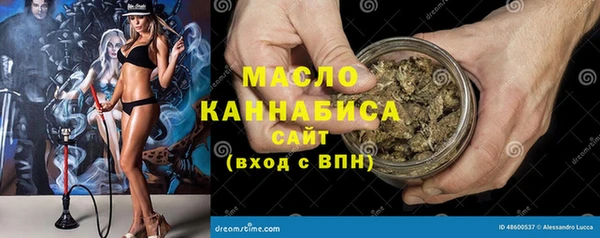 МДПВ Богородск
