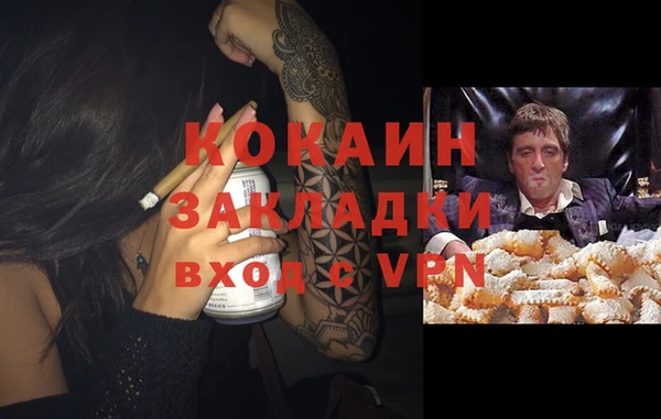 МДПВ Богородск